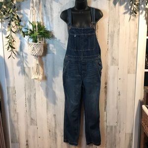 Free People/We the Free Overalls